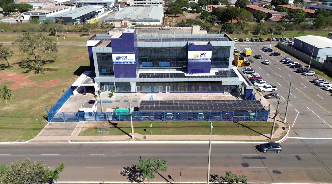 DJI_0009 - frame at 0m49s