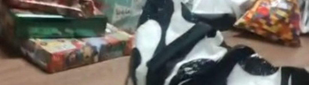 WhatsApp Image 2025-12-19 at 16.21.40 (1)