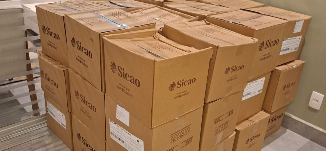 WhatsApp Image 2026-02-13 at 11.14.12