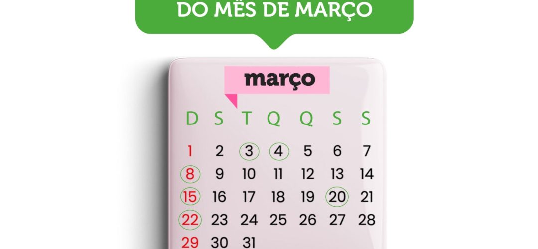 WhatsApp Image 2026-02-19 at 18.54.20 (1)