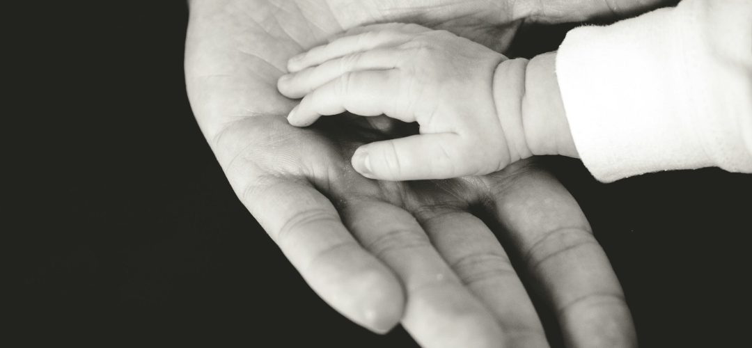 liane-metzler-B32qg6Ua34Y-unsplash